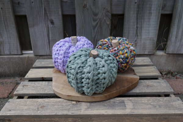 pompoenset chunky 2 hefst